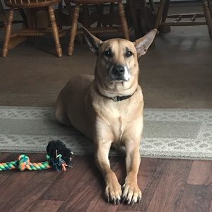 Meet your Posher, Doreen